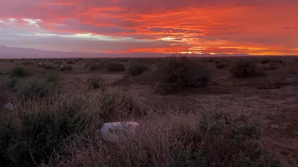 Desert bathed in majestic morning light